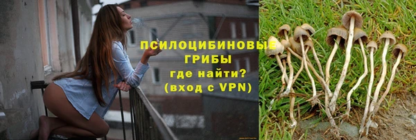 крисы Протвино