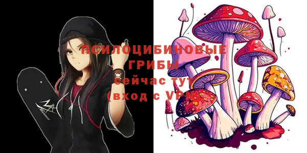 МДМА Пролетарск