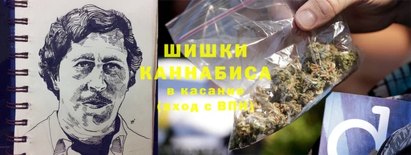 крисы Протвино