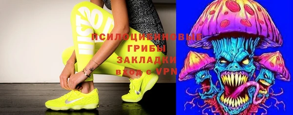 крисы Протвино