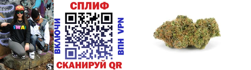Купить  Сковородино  Каннабис Amnesia 